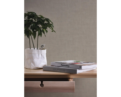 Decoratieve kamerplant in papieren zak naast boeken op een tafel met lade