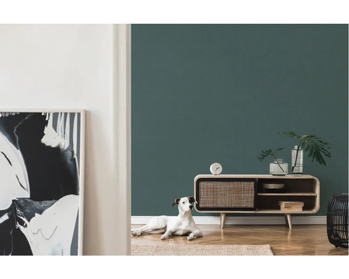 Woonkamer met dressoir, decoratie en een hond op een tapijt voor een groene muur