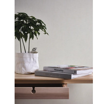 Decoratieve kamerplant in papieren zak op een houten tafel met lade en twee boeken