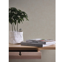 Close-up van een houten commode met plant en boeken
