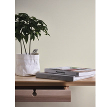 Decoratieve kamerplant in een witte pot met twee boeken op een houten tafel met lade