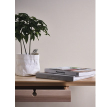 Decoratieve opstelling met plant in papieren zak, boeken en een houten bureau met lade
