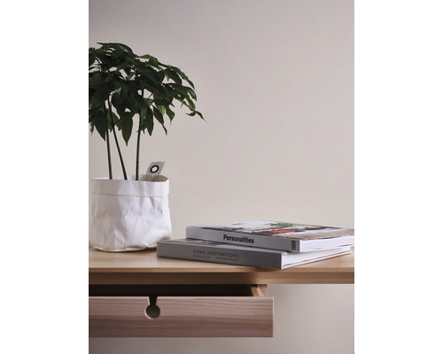 Decoratieve opstelling met plant in papieren zak, boeken en een houten bureau met lade