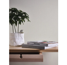 Decoratieve kamerplant in witte pot op een tafel met lade en boeken