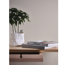 Decoratieve interieurscène met kamerplant in witte pot, twee boeken en een houten commode met open lade