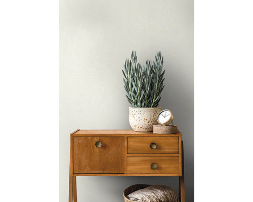Decoratief interieur met houten commode, plant en klok
