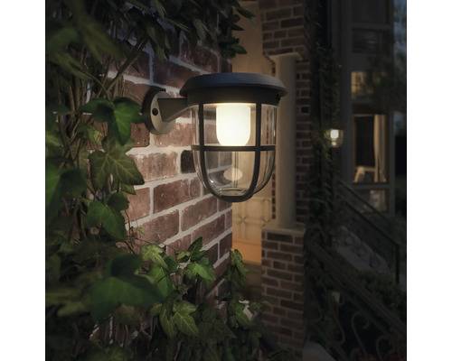 Buitenwandlamp aan een bakstenen muur met klimop