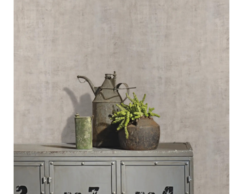 Decoratief stilleven met gieter, plant en metalen kast