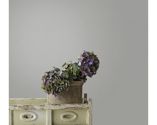 Hortensia''s in een pot op een klein rek