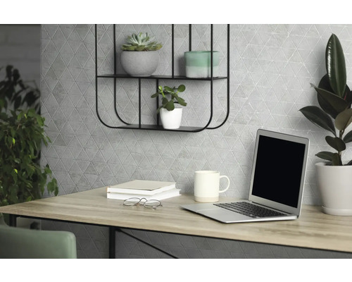 Bureau met laptop, planten en decoratie