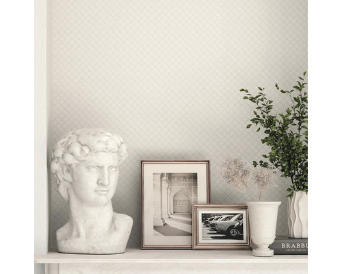 Decoratieve wand met rasterpatroon, buste, ingelijste afbeeldingen en kamerplant