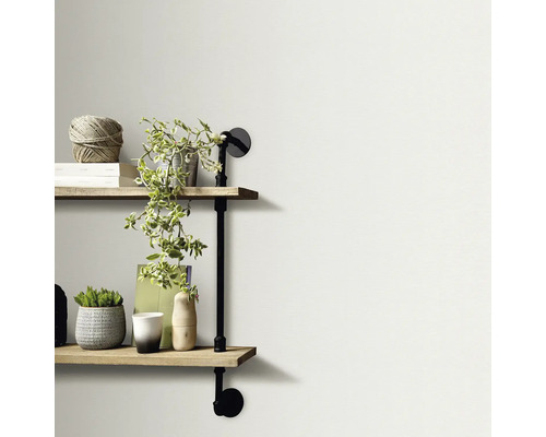 Wandrek met twee planken, decoratie en planten