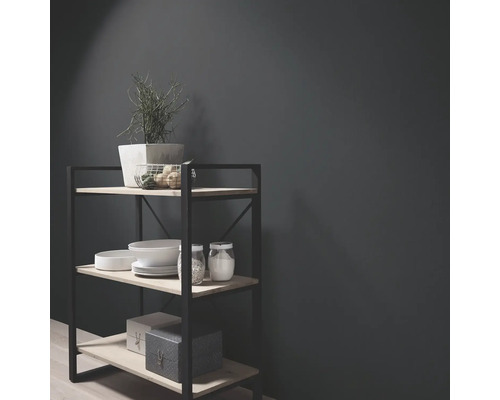 Rek met drie planken, gedecoreerd met planten, schalen en voorraadpotten tegen een donkere wand