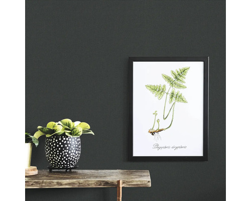 Decoratieve scène met kamerplant in pot en botanische kunstprint in lijst