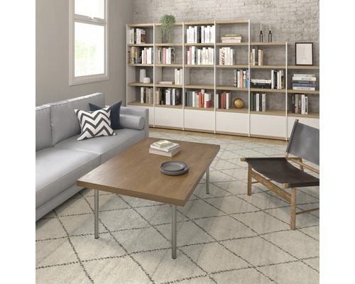 Woonkamer met bank, salontafel, boekenkast en vloerkleed