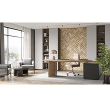 Kantoor met bureau, stoel, fauteuils, planken en decoratie