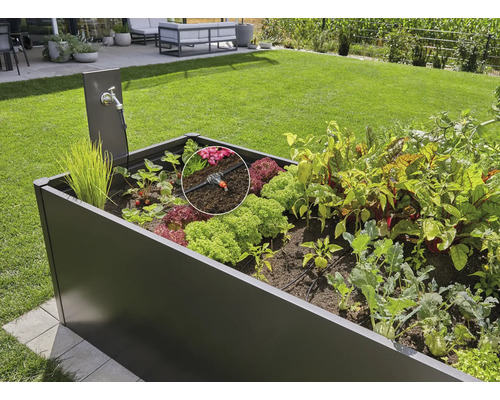 Verhoogde tuinbak met irrigatiesysteem en verschillende groenten in de tuin