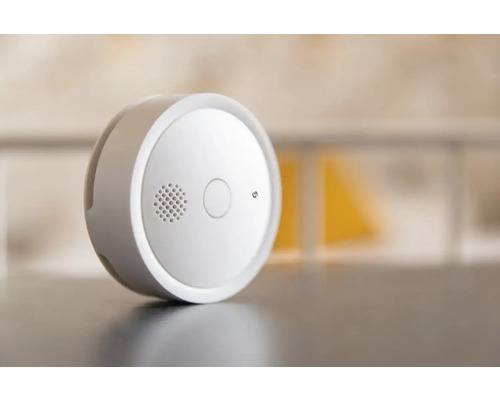 Ronde rookmelder met testknop en luidsprekerrooster.