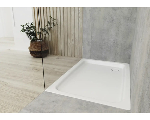 Douchebak in de badkamer met plant in mand
