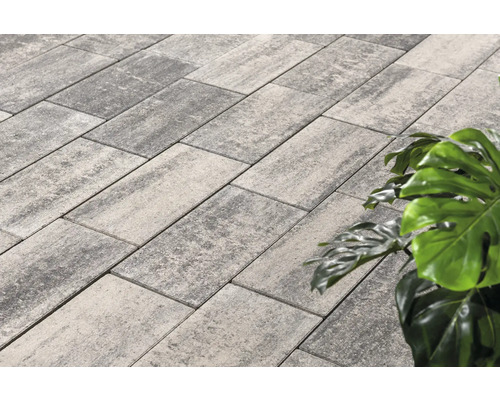 Bestrating met straatstenen in de buitenruimte en decoratieve beplanting