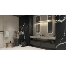 Moderne badkamer met wastafel, spiegels, toilet en decoratie