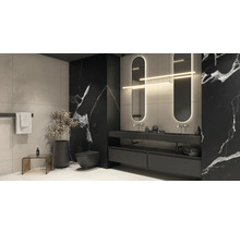 Moderne badkamer met zwarte marmeren wand, wastafelmeubel met twee wastafels, spiegels en toilet.