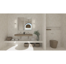 Badkamer met wastafel, spiegels, decoraties en toilet