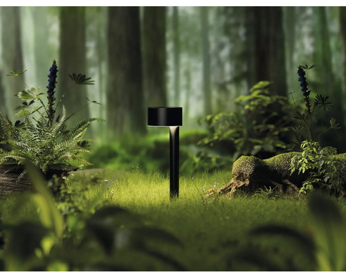 Tuinlamp in het bos