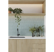 Keukenopstelling met wastafel, kraan, betegelde muur en planten