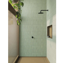 Badkamer met douche, wandtegels en plant