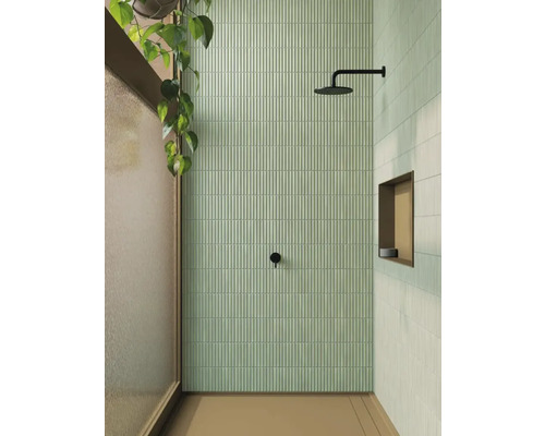 Badkamer met douche, wandtegels en plant