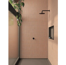 Badkamer met betegelde wanden, douche en plant