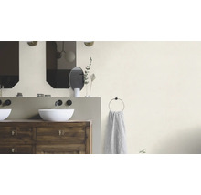 Badkamer met wastafels, spiegels en handdoekhouder
