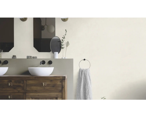 Badkamer met wastafels, spiegels en handdoekhouder