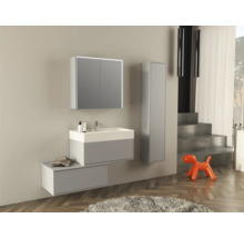 Moderne badkamer met wastafel, spiegelkast, hoge kast en decoratieve hond