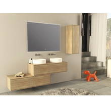 Moderne badkamer met dubbele wastafel, spiegel en hoge kast.