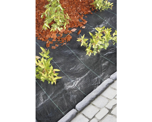 Tuinscene met worteldoek, mulch en planten