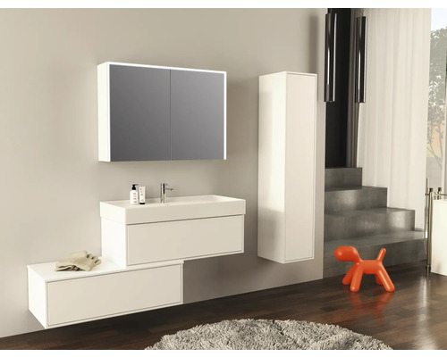 Badkamer met wastafel, spiegelkast, hoge kast en oranje hondenfiguur