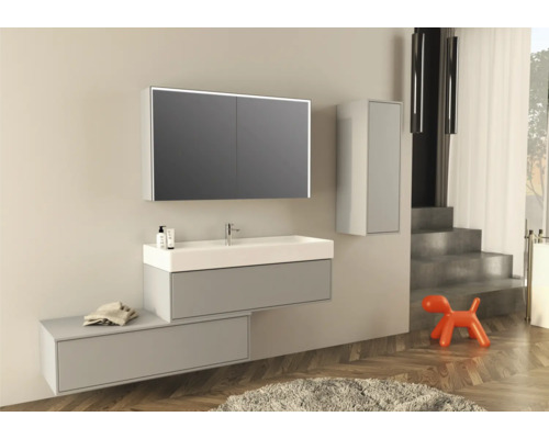 Moderne badkamer met wastafel, spiegelkast, hangkast en decoratief hondenobject