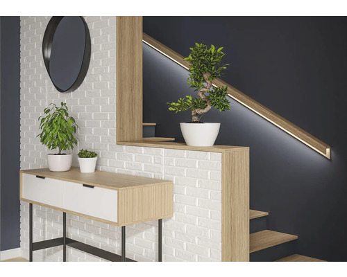 Modern interieur met console, spiegel, trap en planten