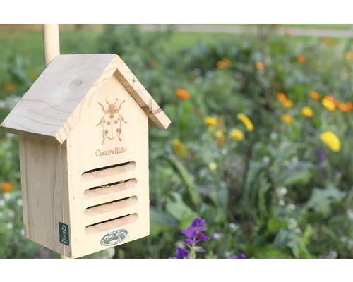 Houten lieveheersbeestjeshuis in de tuin