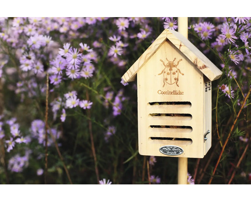 Houten insectenhotel met lieveheersbeestjesontwerp voor bloemen