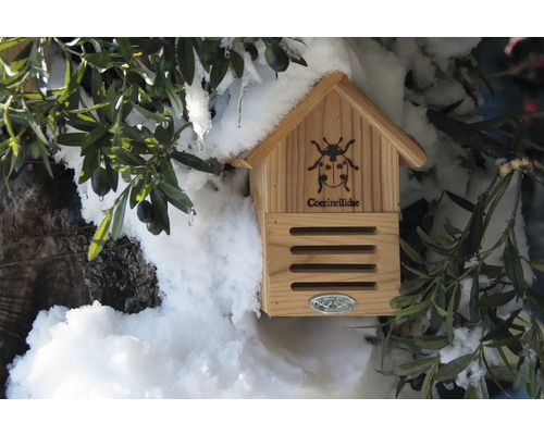 Houten lieveheersbeestjeshuis met decoratie in de tuin