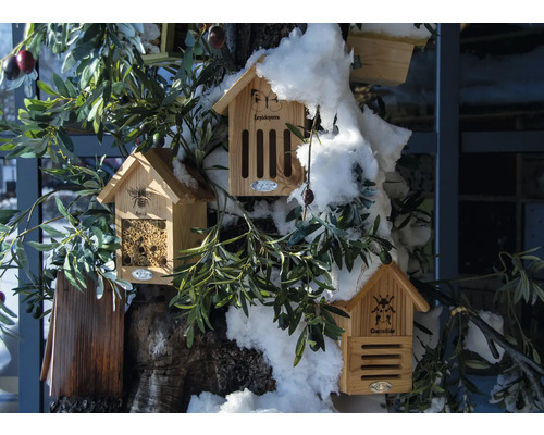 Verschillende houten insectenhotels voor verschillende soorten insecten hangen aan een boomstam.