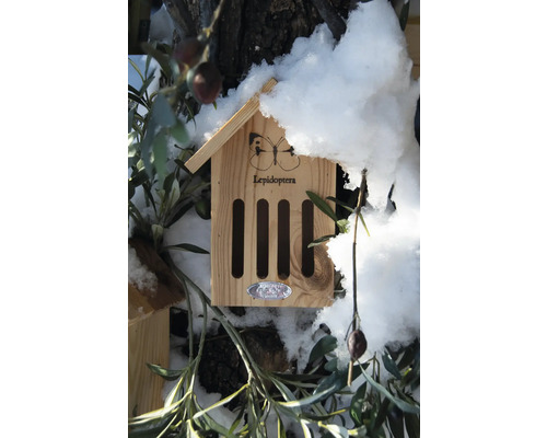 Insectenhotel met vlindermotief en het woord Lepidoptera gedeeltelijk bedekt met sneeuw.