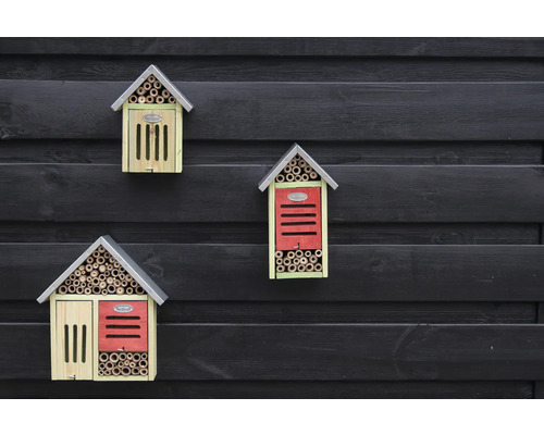 Drie insectenhotels van verschillend ontwerp aan een donkere houten wand