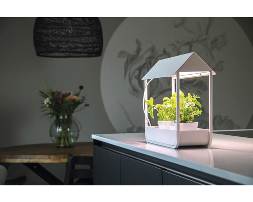 Scene met een binnentuin met kruiden op een aanrecht