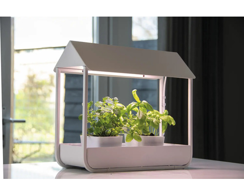 Plantenlamp met basilicum en munt in potten