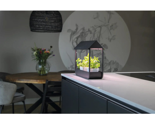 Interieurfoto van een kamerkas met kruiden op een aanrecht