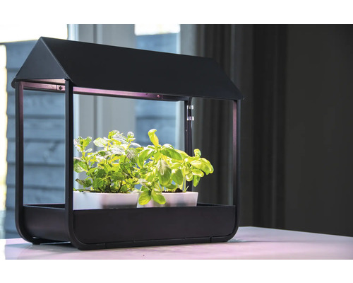 Plantenkooi met basilicum en munt in potten